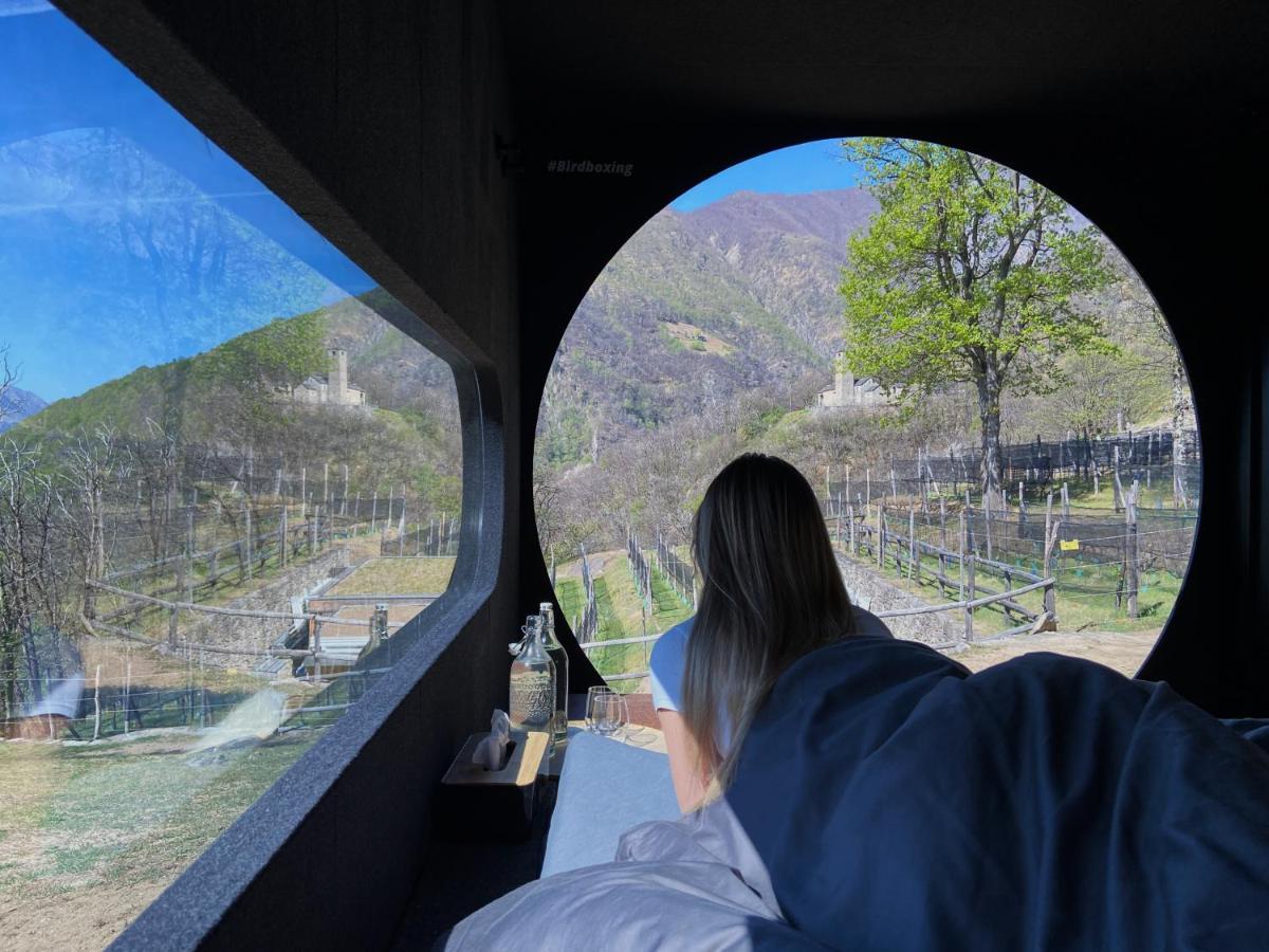 Birdbox Curzutt Hotel Monte Carasso Exterior photo
